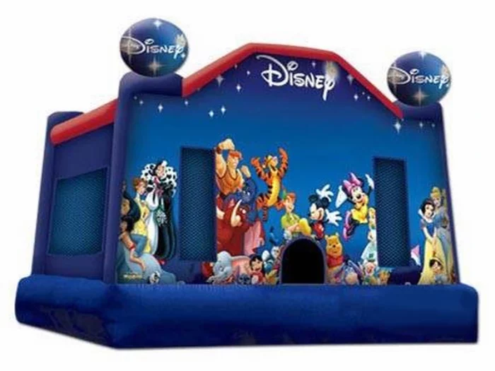 Disney-themed inflatable jumping castle featuring beloved characters, perfect for kids' parties. Buy high-quality, affordable options online in South Africa.